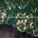 Detail-Peter-Pan-2